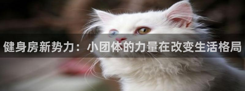 意昂4官方网站