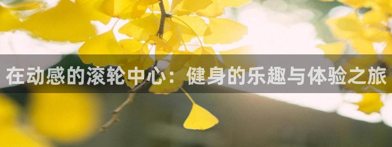 意昂4注册