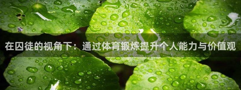 意昂4官网