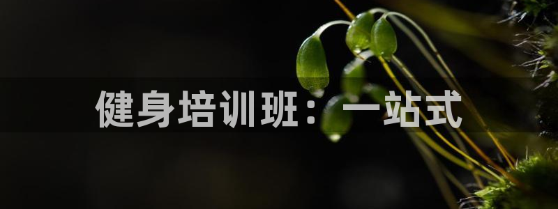 意昂4娱乐