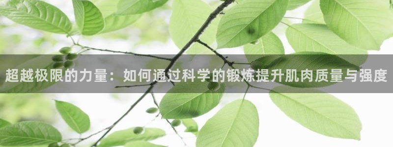 意昂4代理