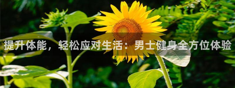 意昂4平台