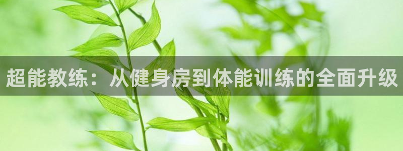 意昂4官方网站