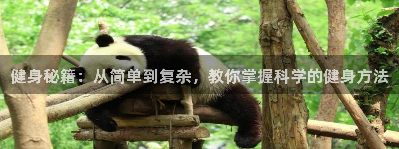 意昂4官方网站