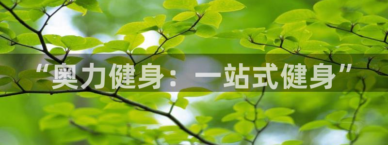 意昂4注册