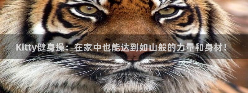 意昂4娱乐
