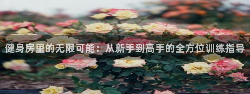 意昂4平台