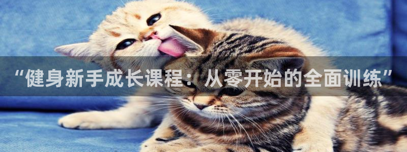 意昂4平台