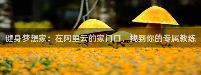 意昂4代理